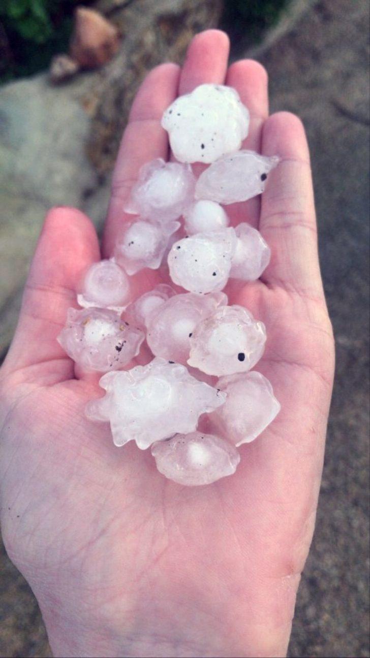 Datça’ya fındık büyüklüğünde dolu yağdı G1