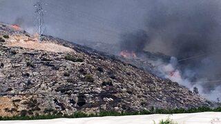 İzmir Selçuk'ta orman yangını! Hızla yayıldı
