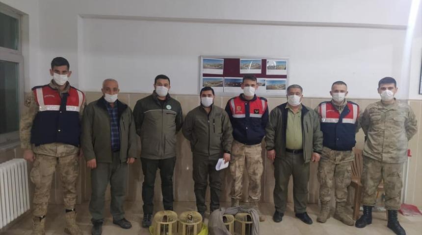 Şanlıurfa'da ka&ccedil;ak avlanan 7 kişi yakalandı