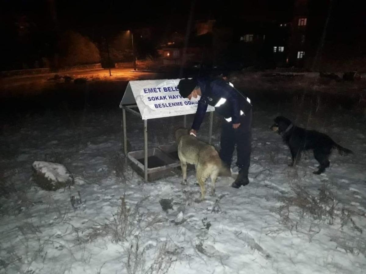 Sokak hayvanları i&ccedil;in seferberlik