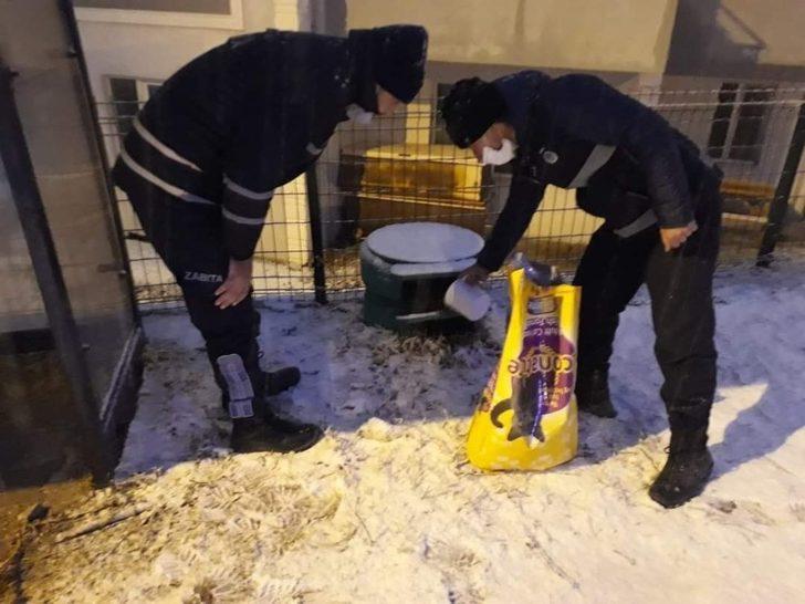 Sokak hayvanları için seferberlik G2