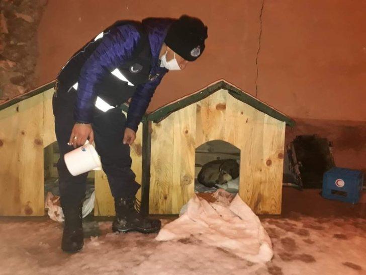 Sokak hayvanları için seferberlik G3