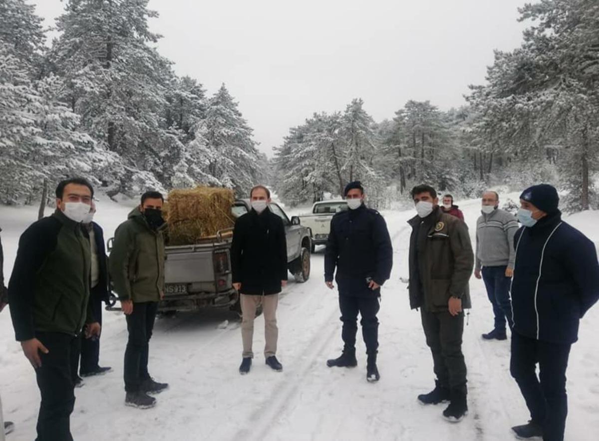 Dumlupınar&rsquo;da yaban hayvanlarına yem bırakıldı