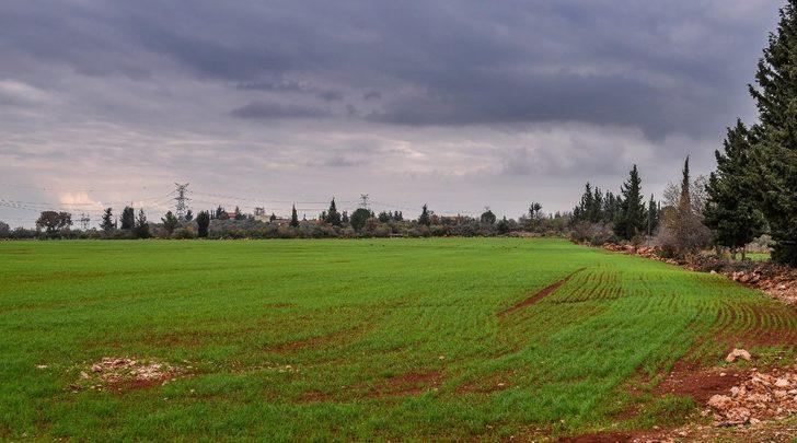 Kepez’de üretilen buğdaydan  1 milyon ekmek G5