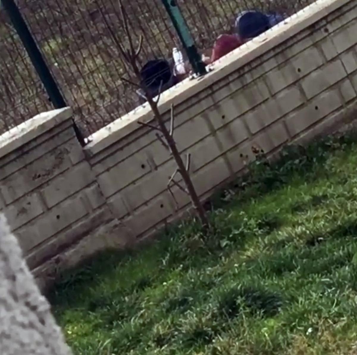 3 &ccedil;ocuğun y&uuml;rek sızlatan g&ouml;r&uuml;nt&uuml;leri