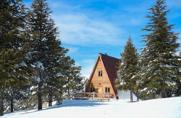 Yalnız Ardıç mesire alanında kartpostallık manzaralar G1