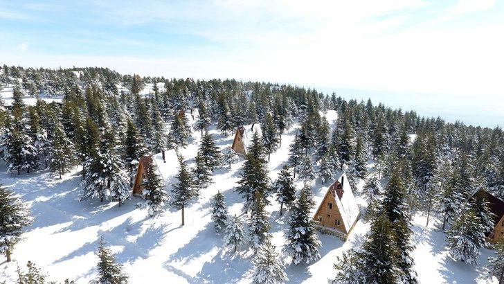 Yalnız Ardıç mesire alanında kartpostallık manzaralar G2