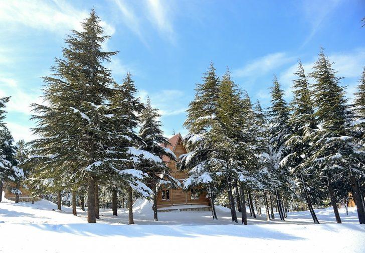 Yalnız Ardıç mesire alanında kartpostallık manzaralar G3