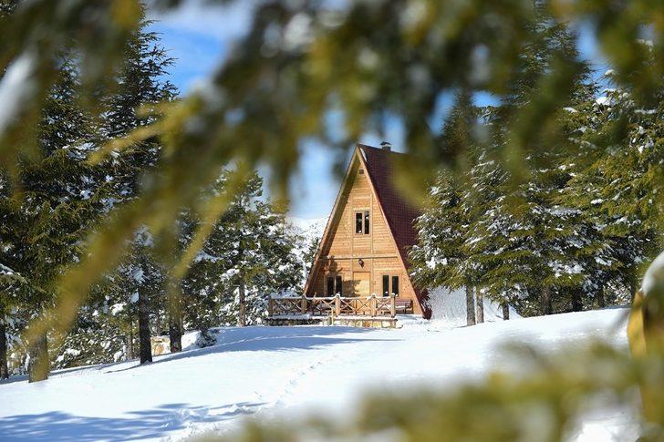 Yalnız Ardıç mesire alanında kartpostallık manzaralar G4