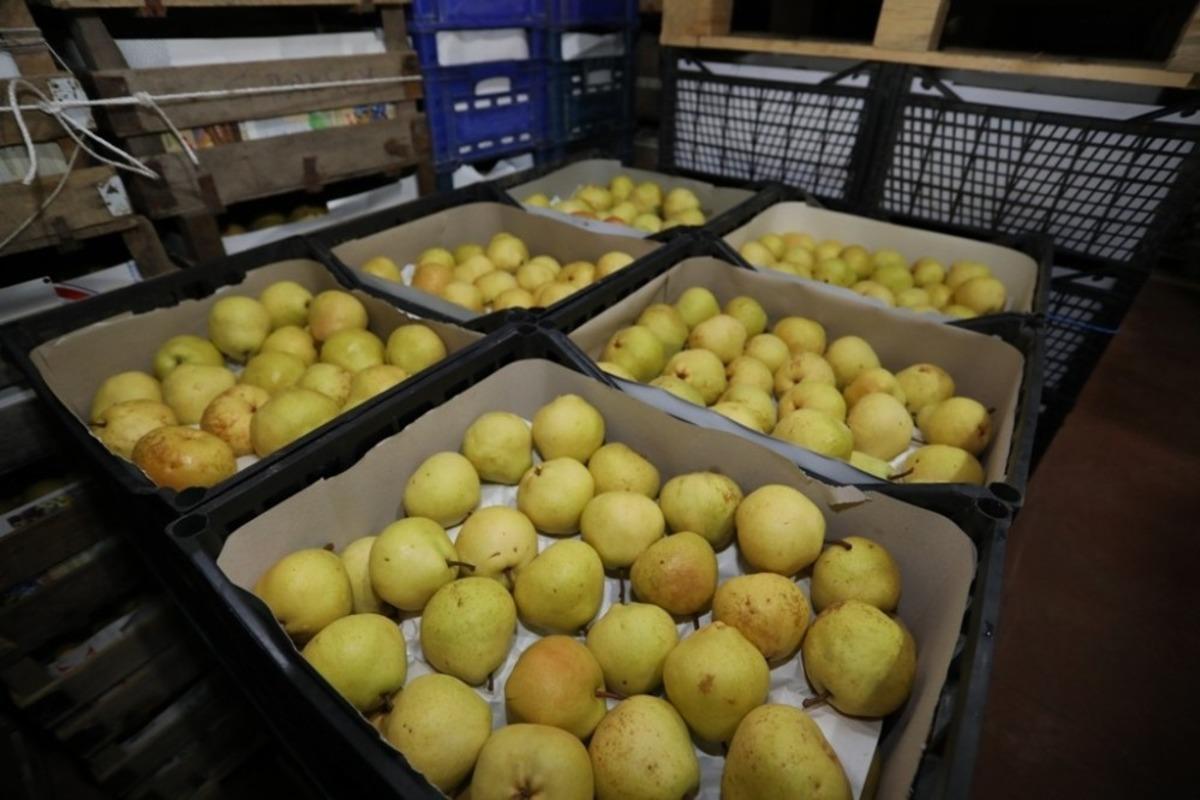 İneg&ouml;l tarım modeli T&uuml;rkiye&rsquo;ye &ouml;rnek olacak