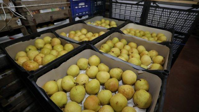 İnegöl tarım modeli Türkiye’ye örnek olacak