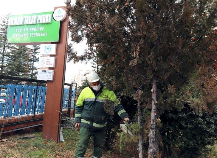 Çankaya sokaklarında bahar hazırlığı G1