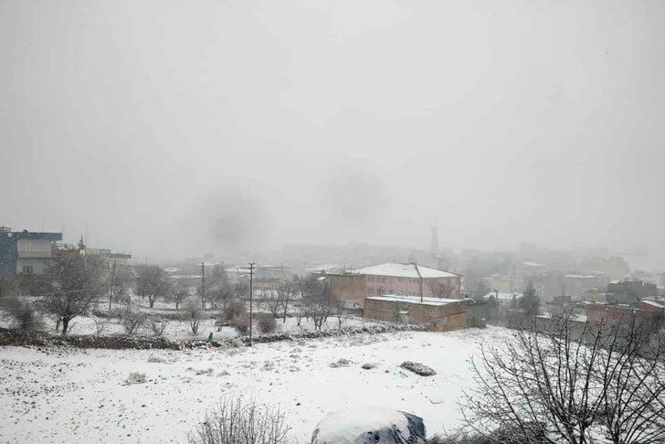 Ömerli ilçesinde vaka sayısı sıfıra düştü G3