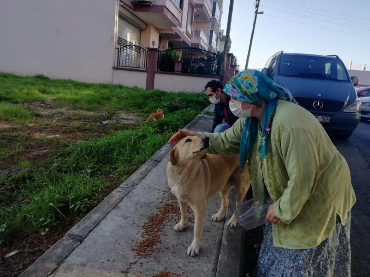 İzmir&rsquo;de sokak hayvanları i&ccedil;in 100 ton mama