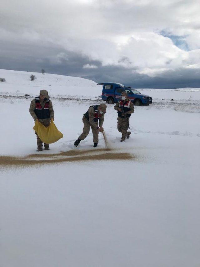 Jandarma, yaban hayvanlarını unutmadı