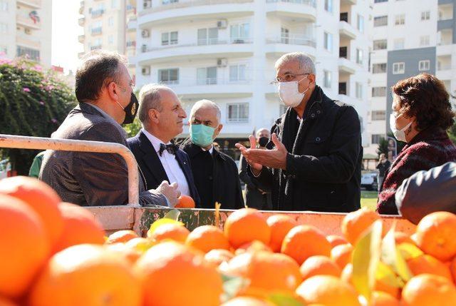 Mersin’de turunçlar salata sosu olarak ekonomiye kazandırılacak