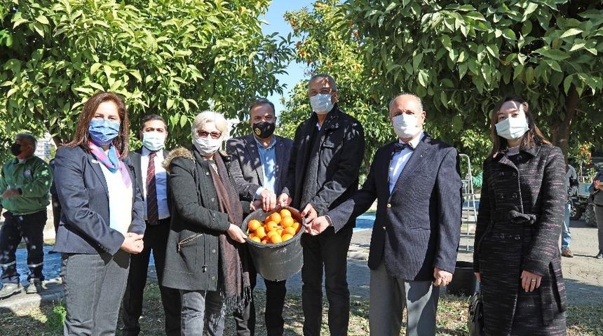 Mersin&rsquo;de turun&ccedil;lar salata sosu olarak ekonomiye kazandırılacak