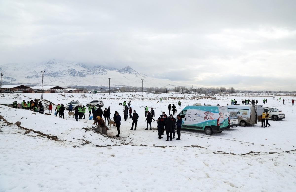 Van B&uuml;y&uuml;kşehir Belediyesi kısıtlamalarda sokak hayvanlarını unutmadı