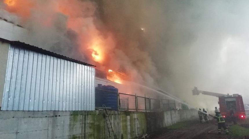 Kocaeli&rsquo;de 3 bin 500 metrekarelik tavuk &ccedil;iftliği alev alev yanıyor