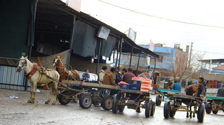 Milyonlarca insanı doyuruyorlar, kendileri ekmeğe muhtaç G2