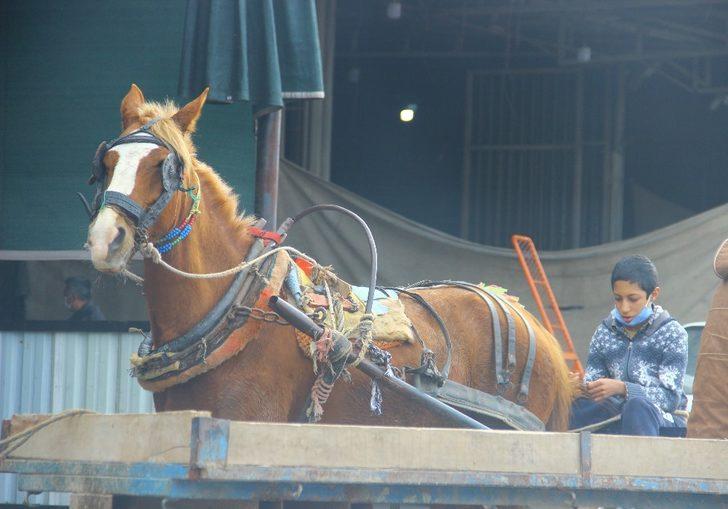 Milyonlarca insanı doyuruyorlar, kendileri ekmeğe muhtaç G3