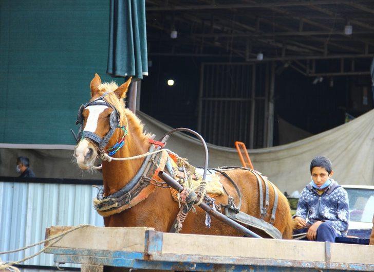 Milyonlarca insanı doyuruyorlar, kendileri ekmeğe muhtaç G4