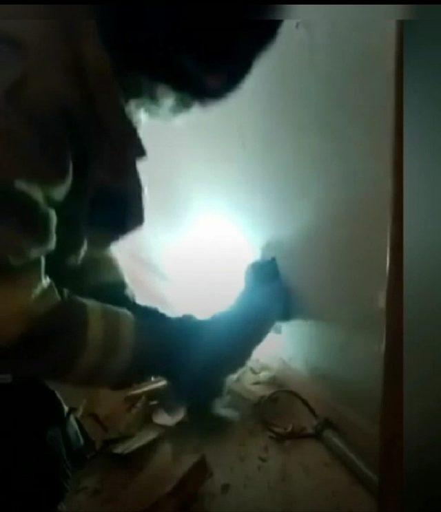 İzmir&rsquo;de duvarda sıkışan kedi itfaiye tarafından kurtarıldı 1