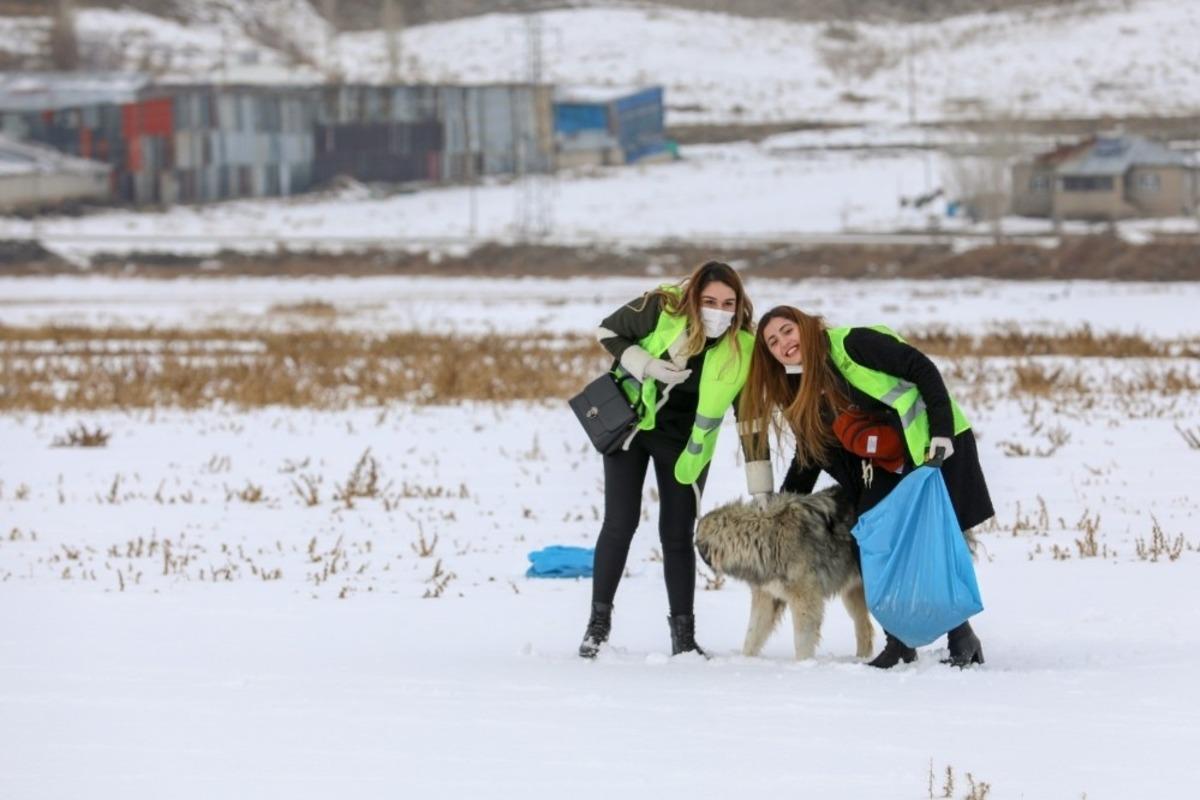 İpekyolu Belediyesi sokak hayvanlarını unutmuyor