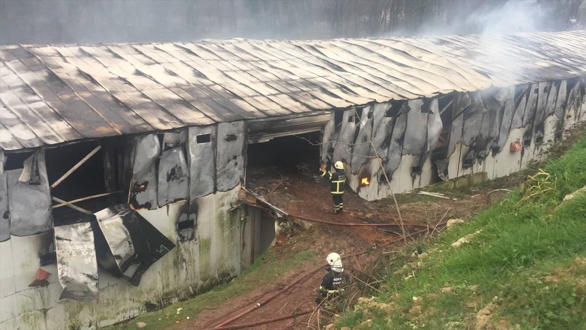 G&Uuml;NCELLEME - Kocaeli'de tavuk &ccedil;iftliğindeki yangın hasara neden oldu