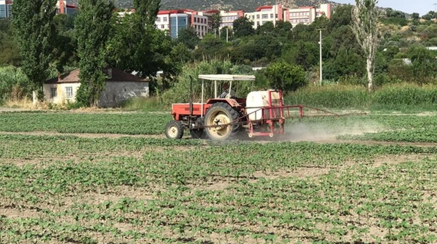 Ziraat Fak&uuml;ltesi desteğiyle kuraklığa dayalı pamuk tohumu geliştirildi