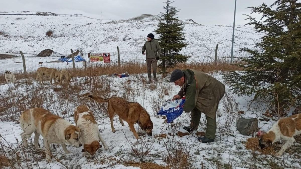 Sokağa &ccedil;ıkma kısıtlamasında sahipsiz hayvanlar beslendi