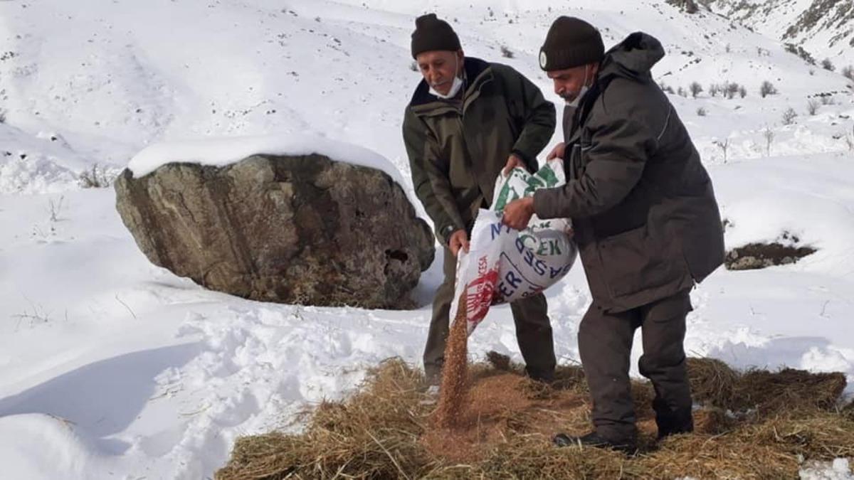 Elazığ&rsquo;da yaban hayvanları i&ccedil;in doğaya 1,5 ton yem bırakıldı