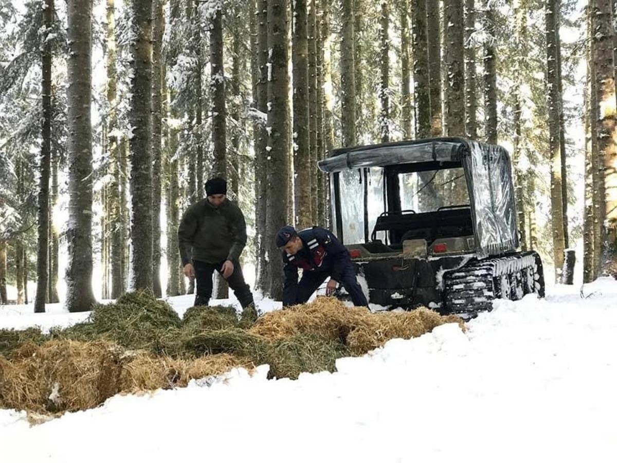 Jandarma ve Doğa Koruma ekipleri yaban hayvanlarını yemledi