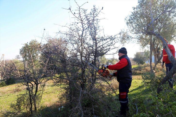 Menderes’teki piknik alanlarında budama ve temizlik çalışması G1
