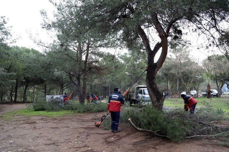 Menderes’teki piknik alanlarında budama ve temizlik çalışması G2