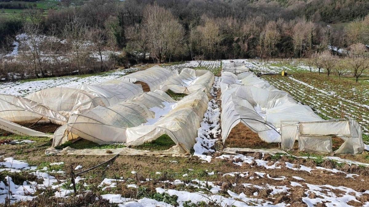 Sera desteği i&ccedil;in başvurular başladı