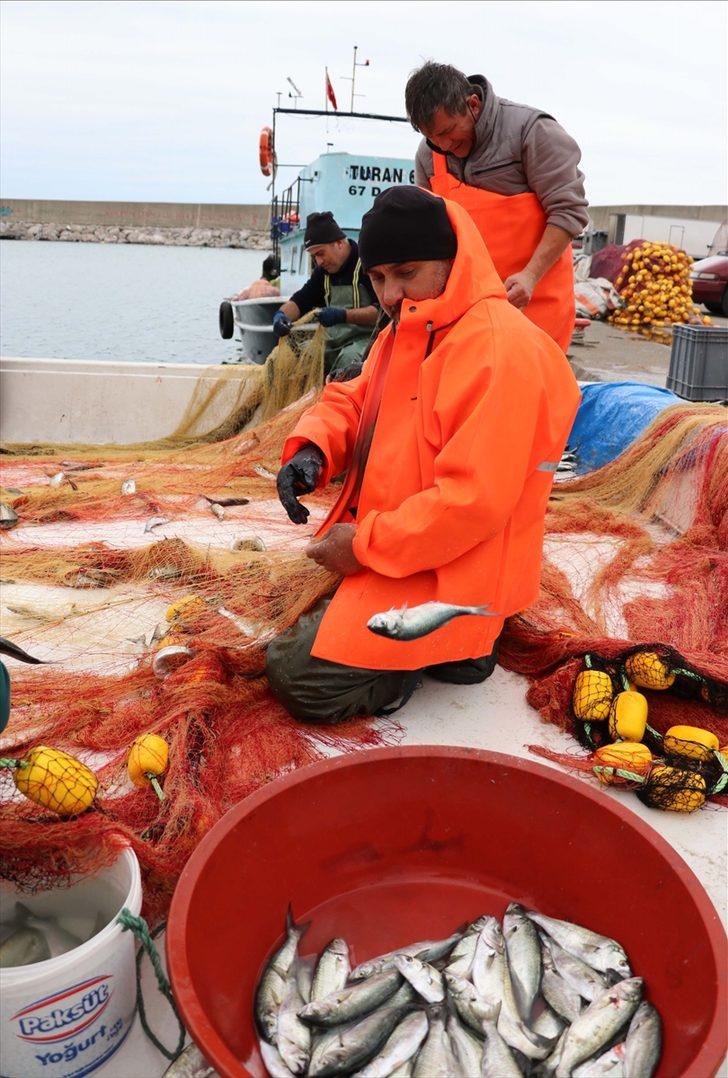 Batı Karadenizli balıkçıların yüzünü sarıkanat güldürdü G1