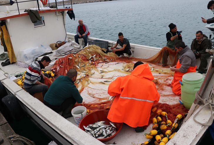 Batı Karadenizli balıkçıların yüzünü sarıkanat güldürdü G3