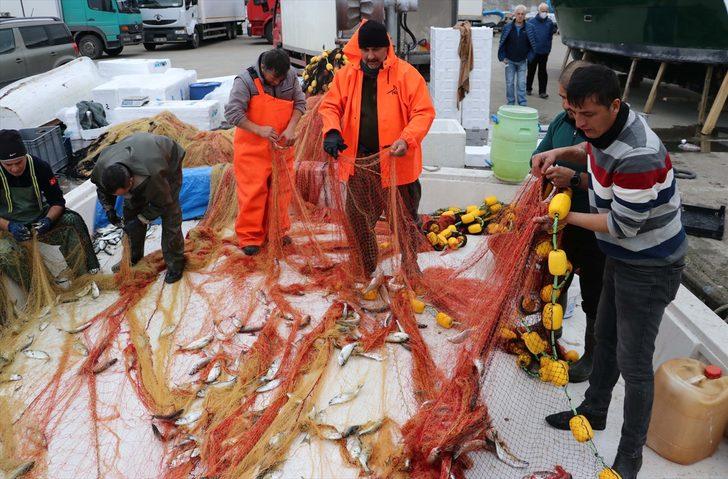 Batı Karadenizli balıkçıların yüzünü sarıkanat güldürdü G4