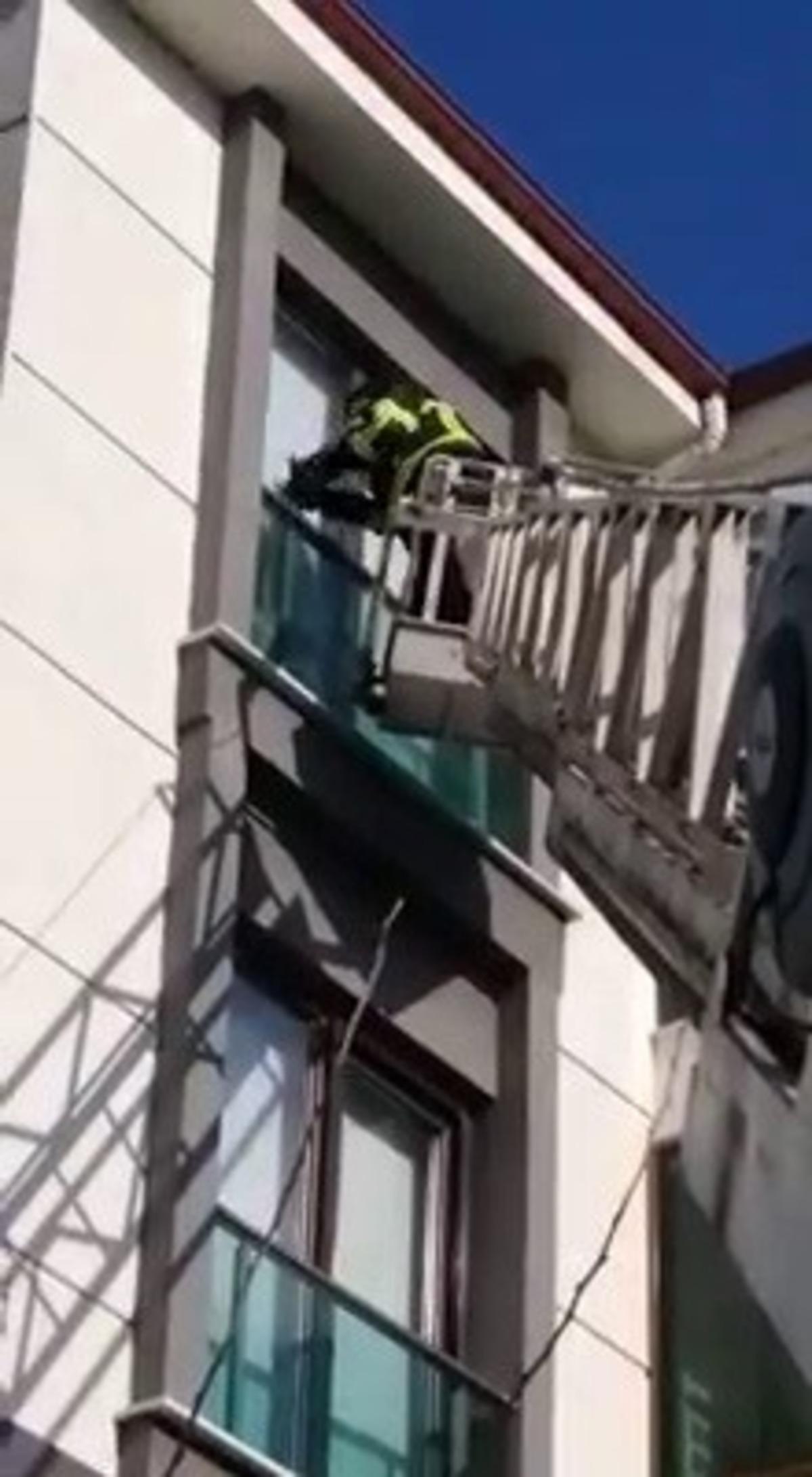 Mahsur kalan g&uuml;vercini itfaiye ekipleri kurtardı