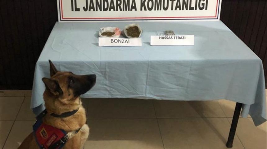 Kütahya'da uyuşturucu operasyonunda 3 şüpheli yakalandı