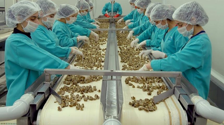 Samsun'dan yapılan hayvansal &uuml;r&uuml;n ihracatı ge&ccedil;en yıl bir &ouml;nceki yıla g&ouml;re arttı