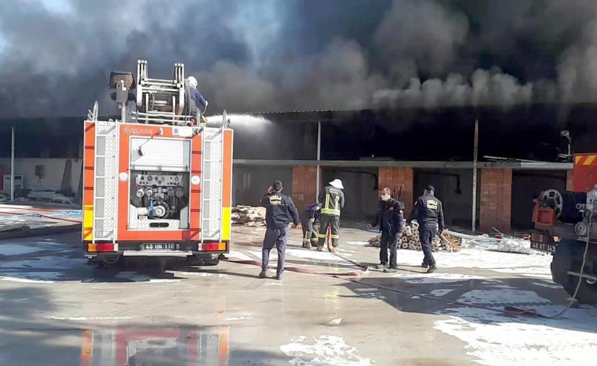 Fidan &uuml;retim tesisinde yangın