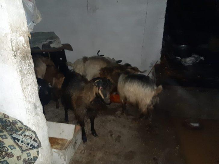 Kahramanmaraş’ta su baskını: 4 vatandaş kurtarıldı G2