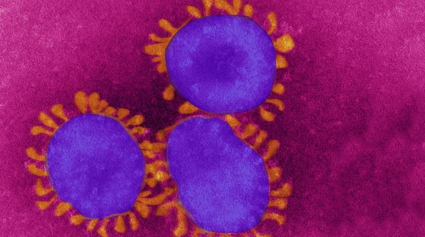 Koronavirüs mutasyonu: Güney Afrika, Brezilya ve İngiltere varyantları aşıları nasıl etkileyecek?