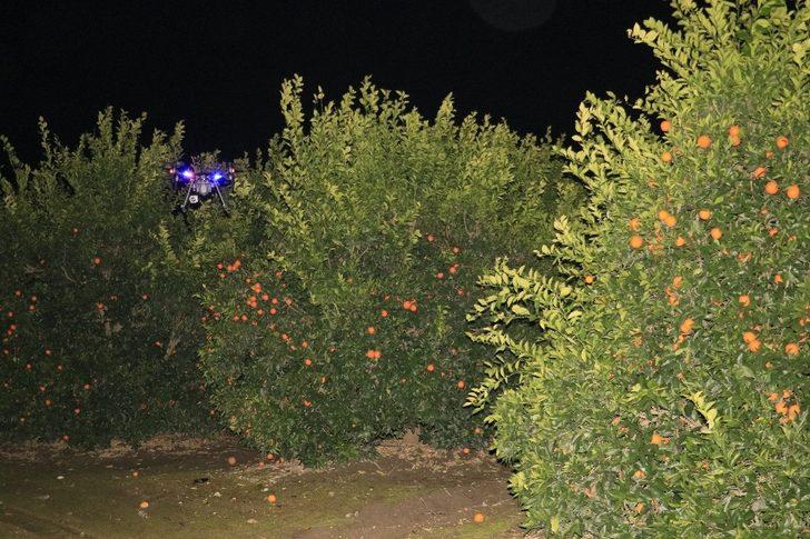 Narenciye hırsızlarına "termal kameralı drone" önlemi G2