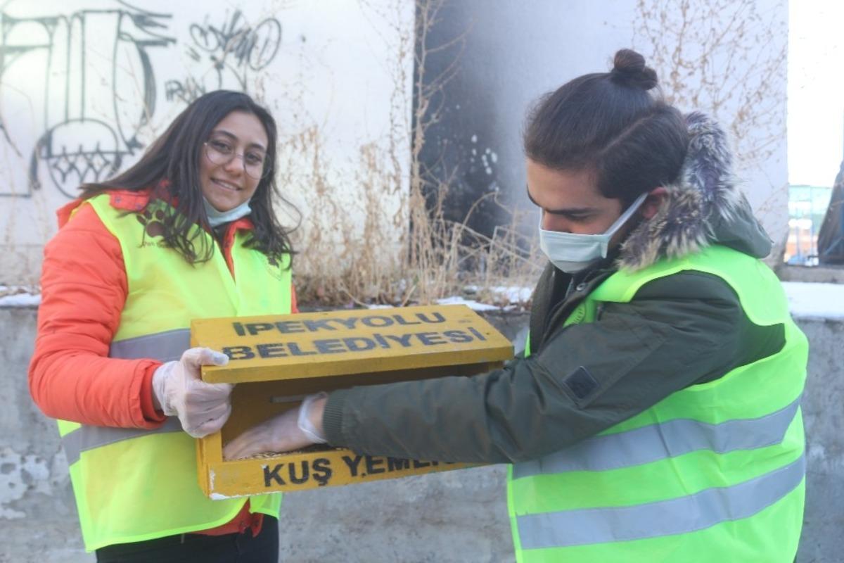 Buz tutan kentte kuşlar i&ccedil;in sıcak yuva