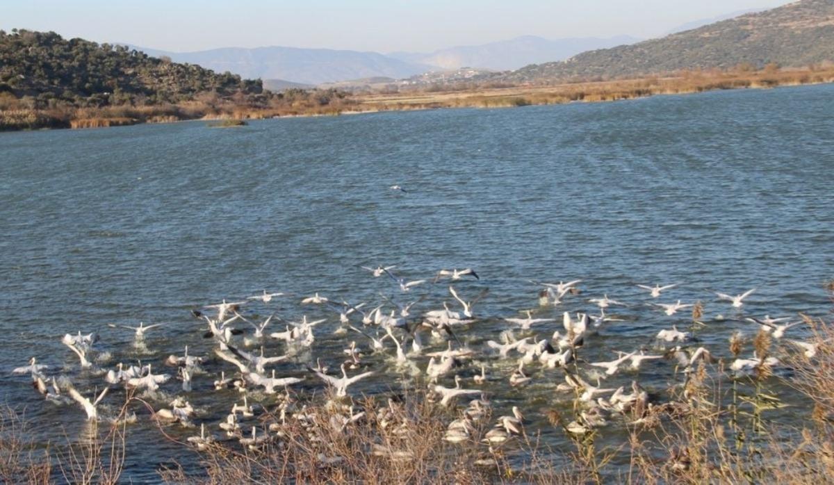 T&uuml;rkiye&rsquo;de 76 tescilli sulak alan bulunuyor