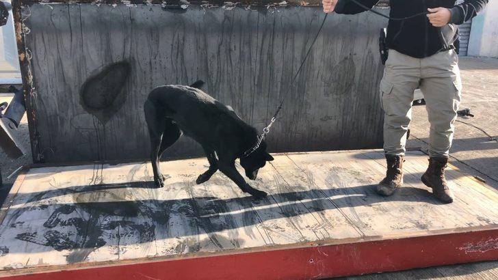 Kömür kazanından 200 bin captagon hap çıktı G4