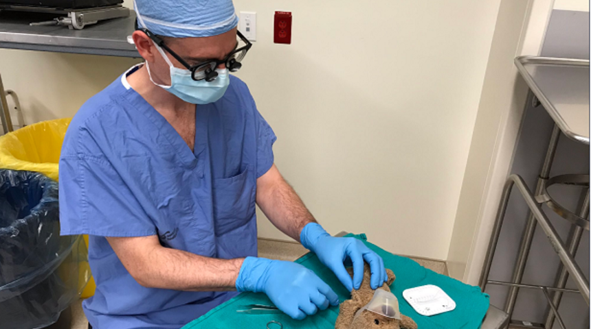 ‘Böyle meslek mi varmış’ dedirtecek dünyanın en ilginç meslekleri